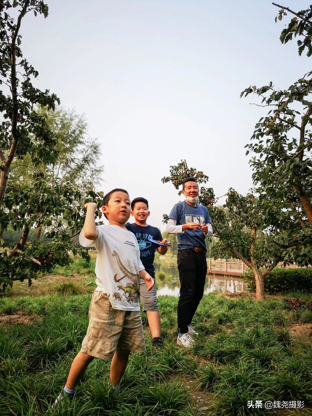 北京北坞公园里的京西稻又熟了，曾经只有皇上才能吃上这儿的大米