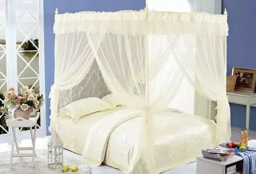 蚊子最怕这个小妙招,天热蚊子嗡嗡叫小窍门治死蚊子