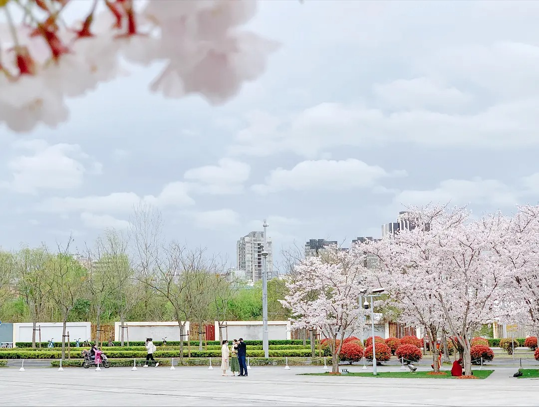 如何拍出漂亮的云朵视频,如何拍出好看的云朵视频