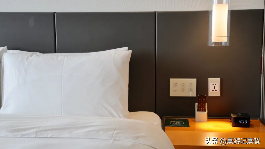 海口索菲特,海口索菲特多少钱