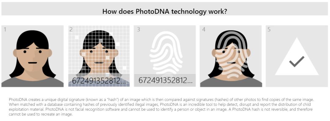 关于Pandownload和百度网盘，你想知道的都在这里了