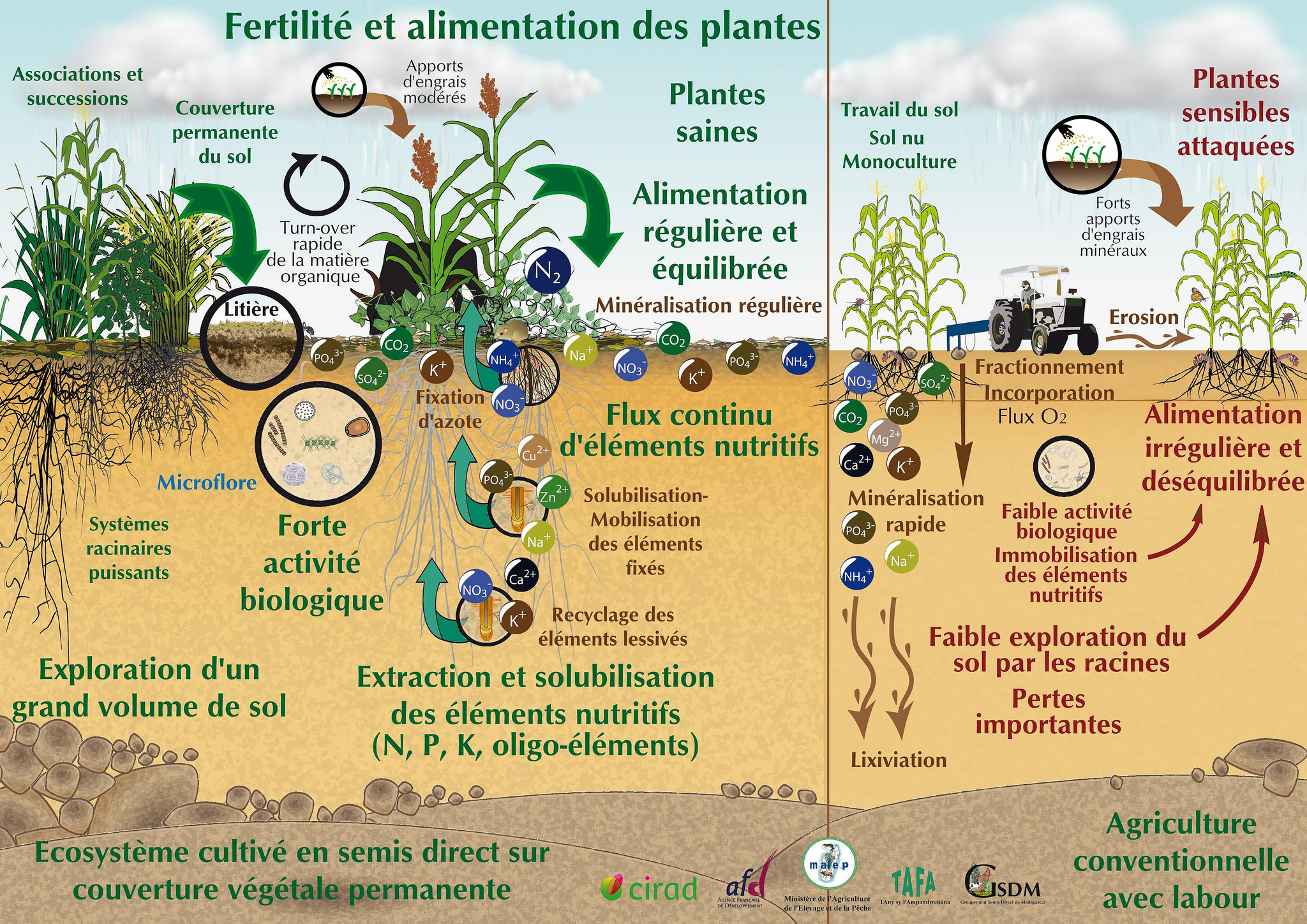 电击捕蚯蚓方法,电蚯蚓对土壤的危害