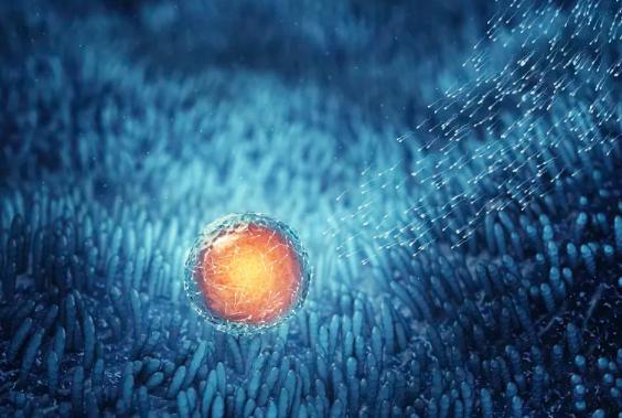 鑻卞浗濂冲瓙缃戜笂璐拱閽堢瓛,閽堢瓛浜哄伐鎺堢簿