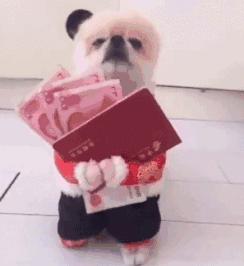 试婚纱有哪些坑,新人试婚纱应注意什么