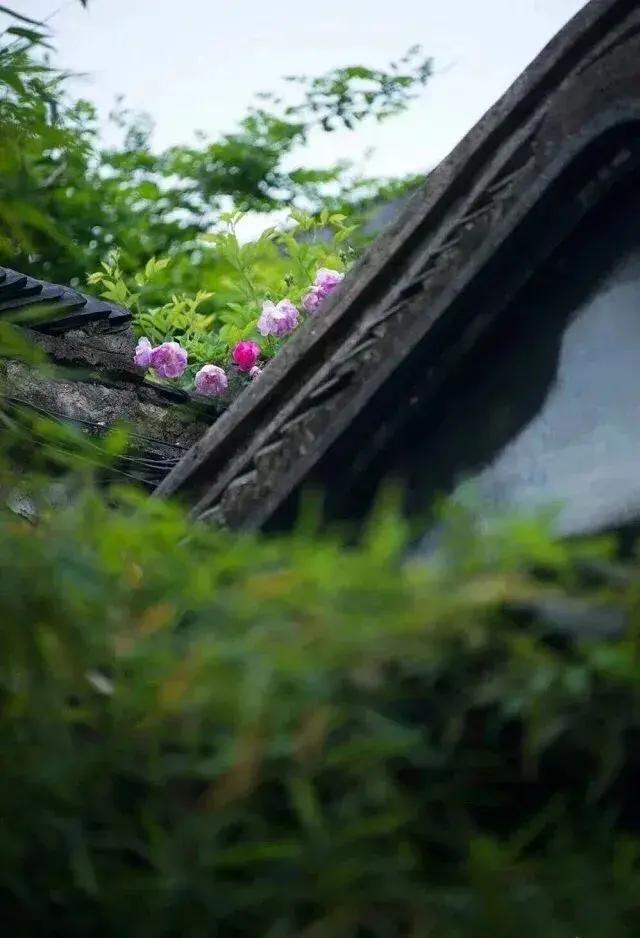 芒种种出新希望,芒种和幸福播种