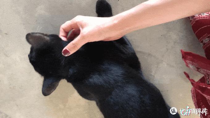 泰国萨瓦迪卡旅行攻略,泰国萨瓦迪卡旅行记