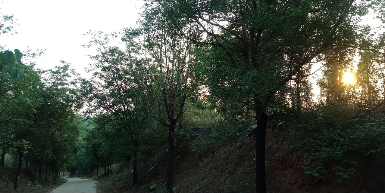 焦躁状态怎么缓解,如果感觉心里不踏实应该怎么办