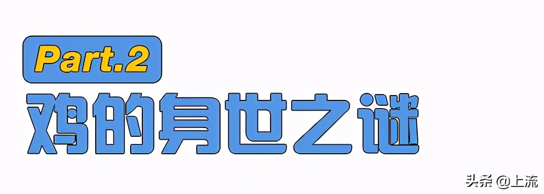 这个辣鸡，才是浙江人心里yyds
