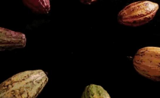 天然去雕饰的《水果传》,给你一场抵挡不住的水果饕餮