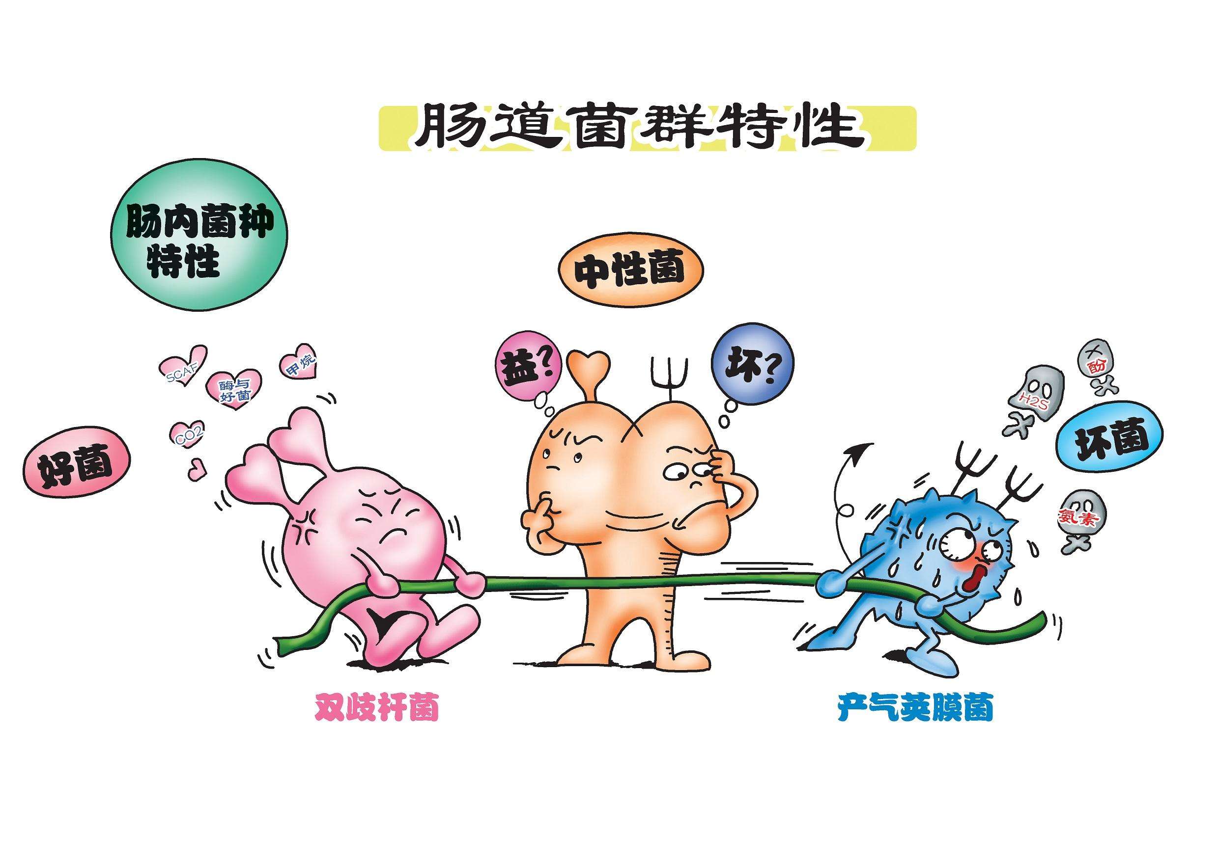 肺炎细菌感染用什么抗生素最好,新冠肺部感染后抗生素选择