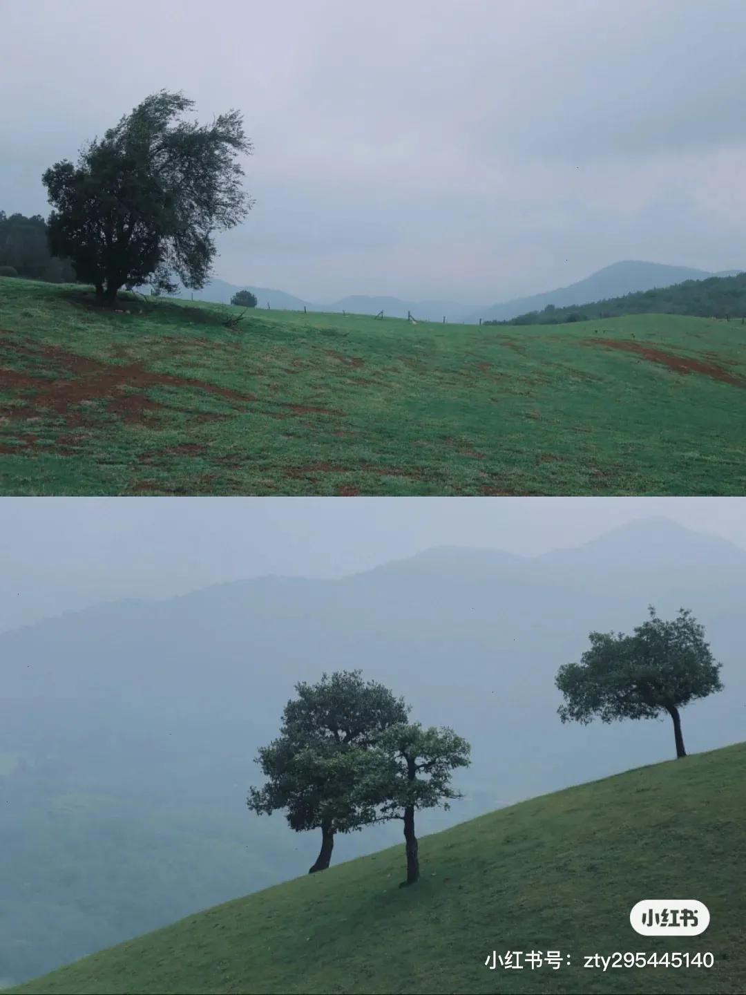 为什么，我一定要劝你来寻甸