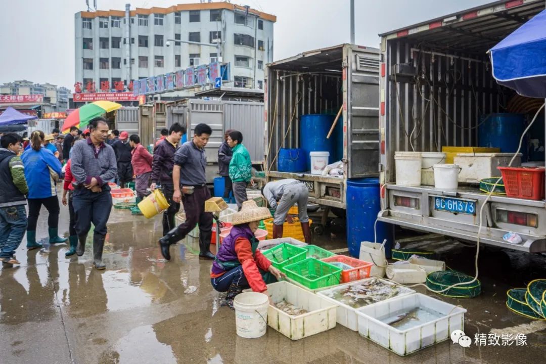 拾光汇影|第六期·珠海斗门白藤湖