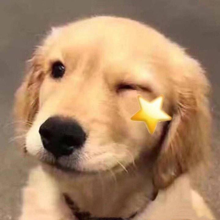 你知道的太多了什么梗,如何知道更多网络梗