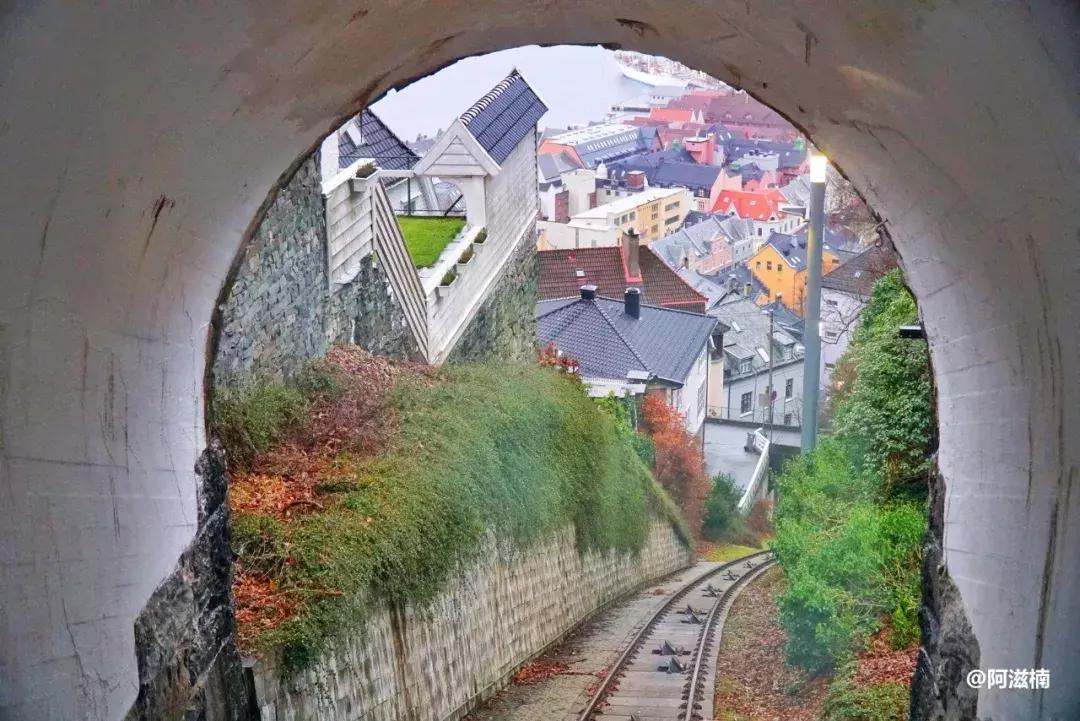 为了吃世界上最好吃的青花鱼，我飞去了挪威，光是捕捞船价值4亿