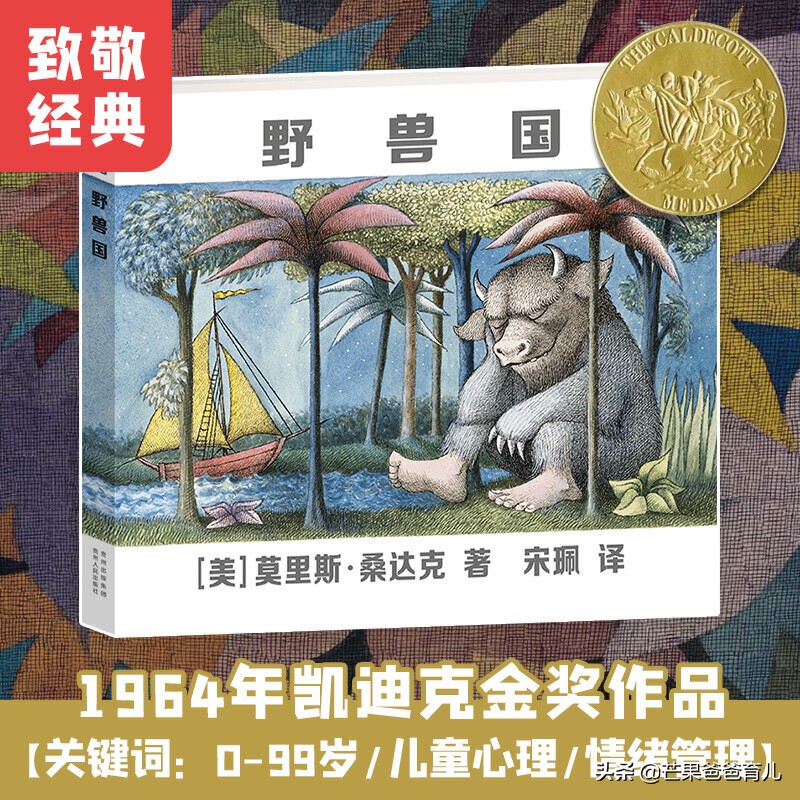 幼儿园教师必读的绘本,适合幼儿教师看的绘本