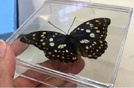 2021古滇星光跨年音乐嘉年华,昆明跨年古滇七彩云南欢乐世界