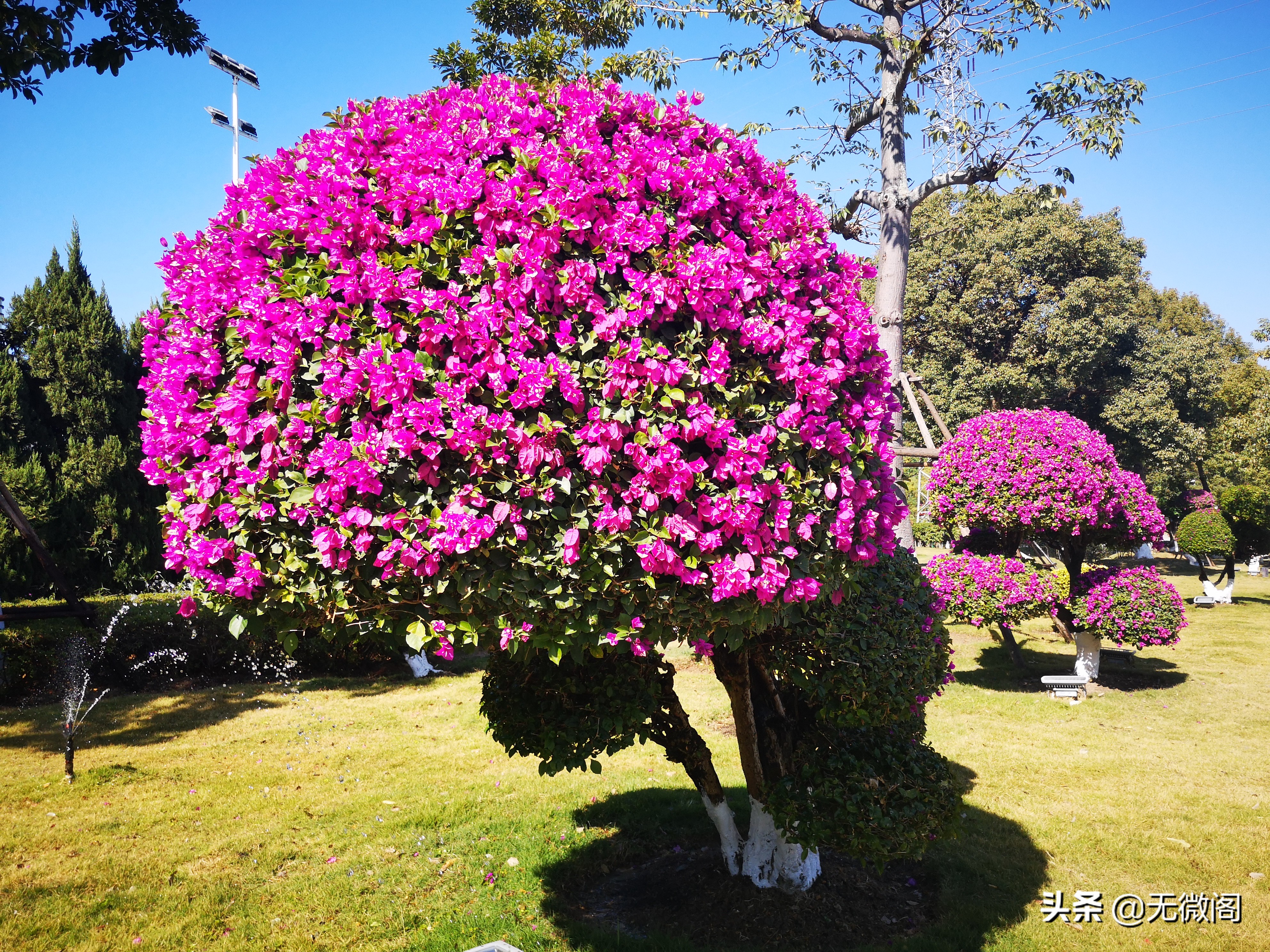 厦门同安梵天寺攻略,厦门同安区梵天禅寺