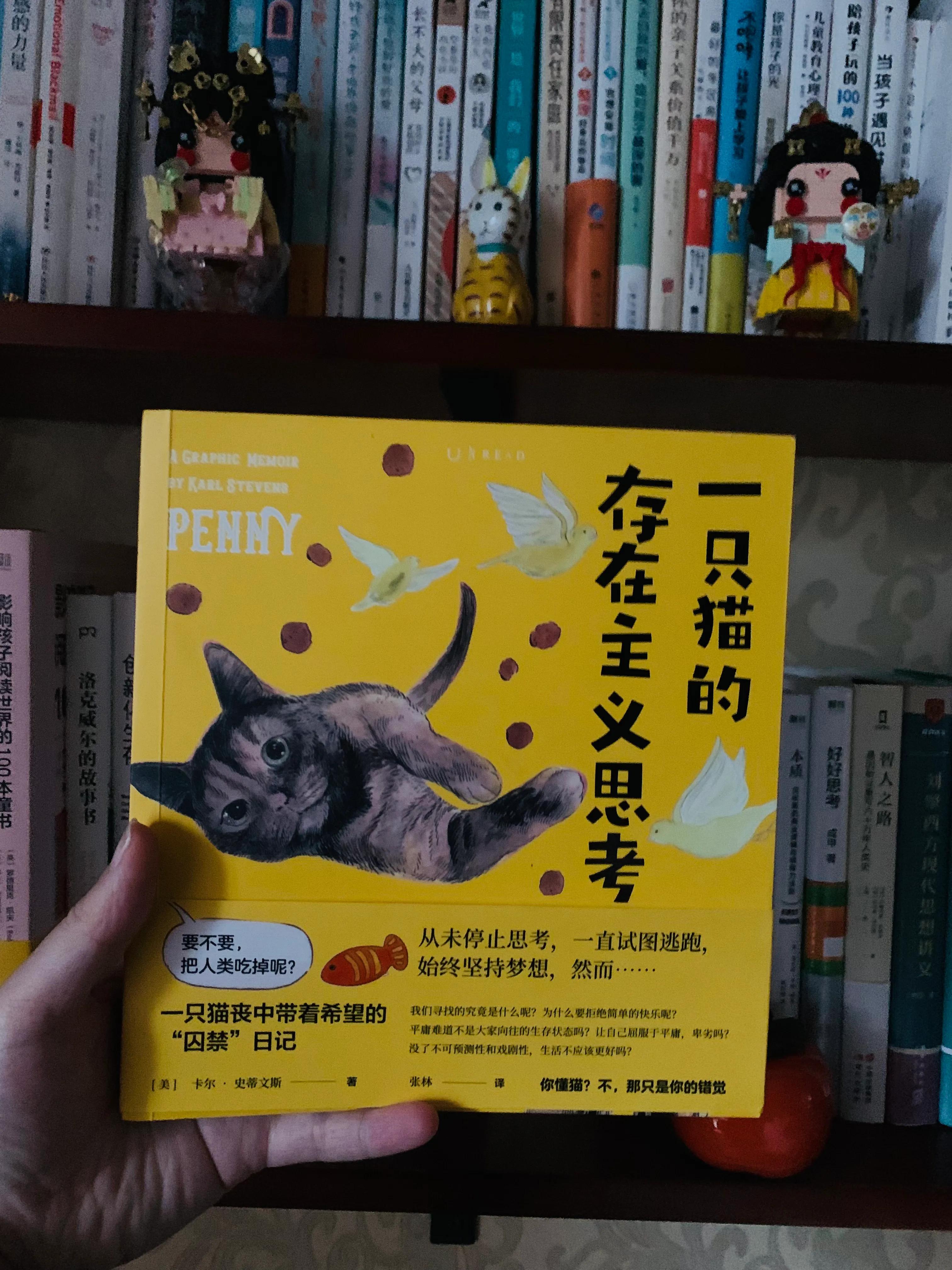一个关于猫的搞笑漫画,猫咪治愈可爱漫画