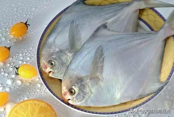 作为潮汕人，这89种海鲜你都能对上号吗