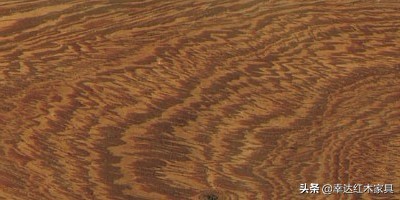 看完这篇红木图解你就是专家,红木百科知识图解