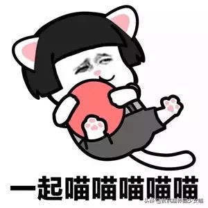 辟谣宠物猫,辟谣猫咪真的会记仇吗