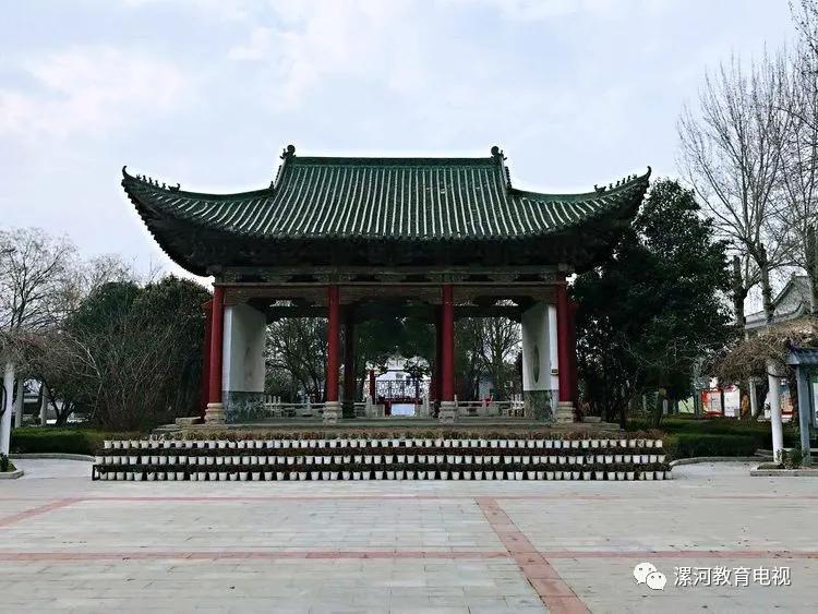 鲲鹏展翅自兹始，鹰击长空助梦飞——奋进中的漯河二中