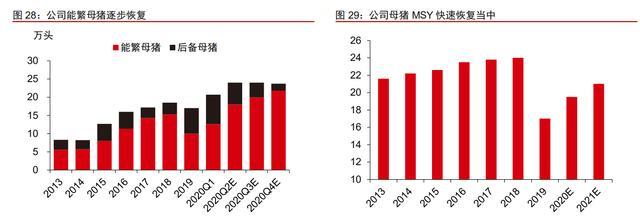 中粮肉食价值分析:性价比最高的猪肉股是他吗