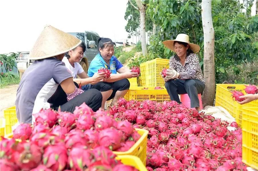 广西玉林脱贫攻坚取得决定性战果,玉林市贫困县摘帽