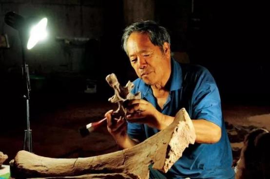 中国的最强恐龙是什么恐龙,中国已发掘的最大恐龙叫什么恐龙