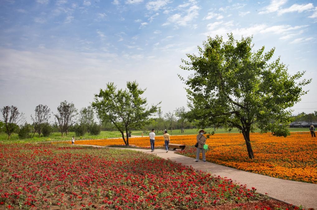 西安公园24小时开放,西安免费儿童玩的公园