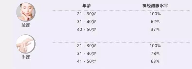 神经酰胺是蛋白质吗,神经酰胺是一种什么成分