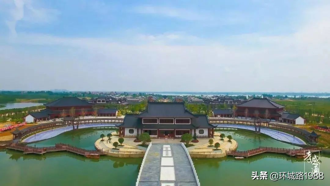 未来可期！向你展现不一样的毛陈