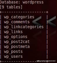 黑客的攻击手段及用户对策研究,如何防范黑客入侵网站