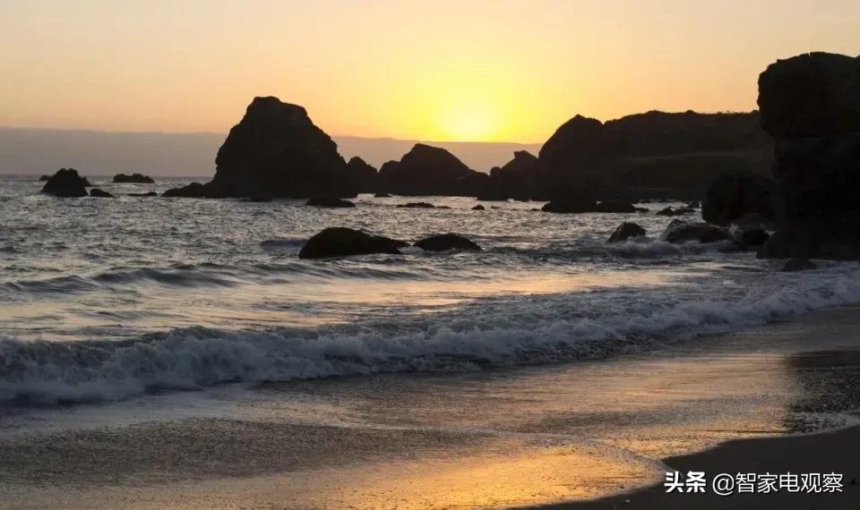 未来空净产品前景,空净行业的现状