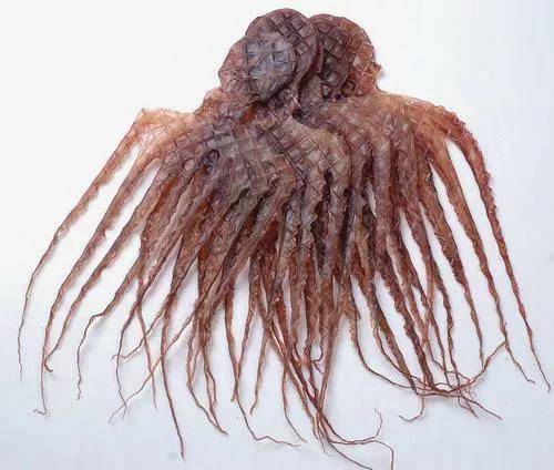 海产干货的种类图片及名称大全,干货海产品种图片及名称