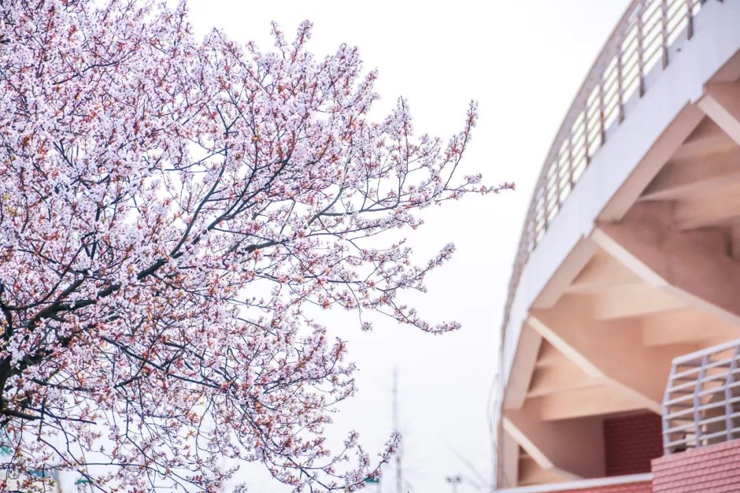 西南民大值得去读吗,西南民大是什么级别