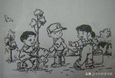 寒假专项训练一二三年级看图写话,开学整理书包看图写话