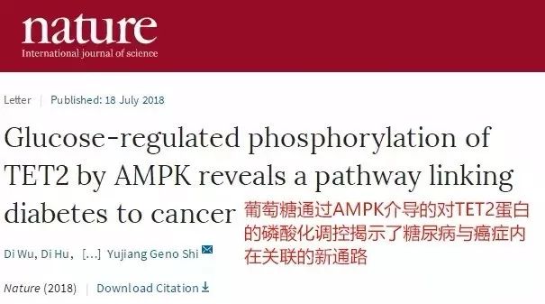 糖尿病结肠癌的危害,结肠癌糖尿病