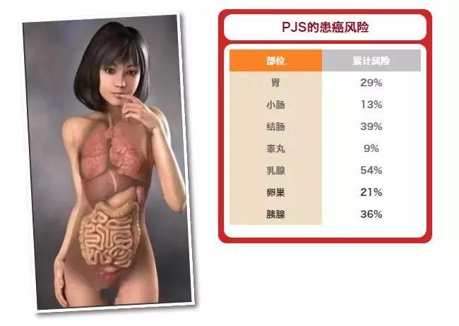 肠内有息肉脸上会长斑吗,有唇斑是肠道息肉吗