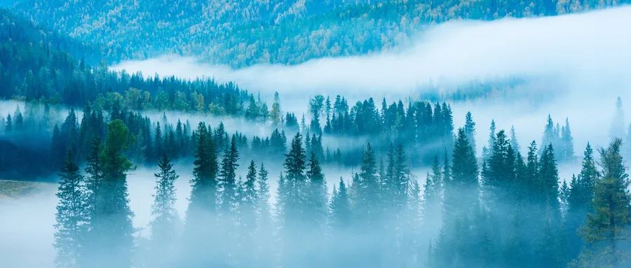 宫颈癌放疗全解,vmat放疗与tomo放疗副作用