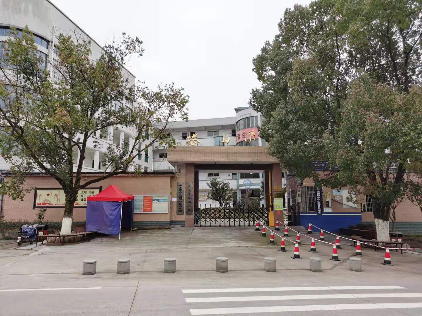 修竹万竿,修竹万竿松影乱