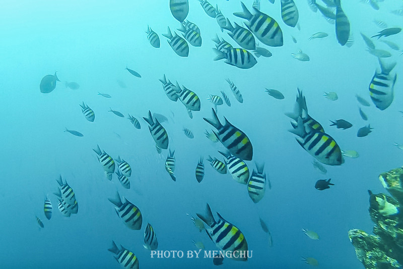 世界上最美的潜水胜地,巴厘岛的图兰奔!二战沉船遗址等你探索