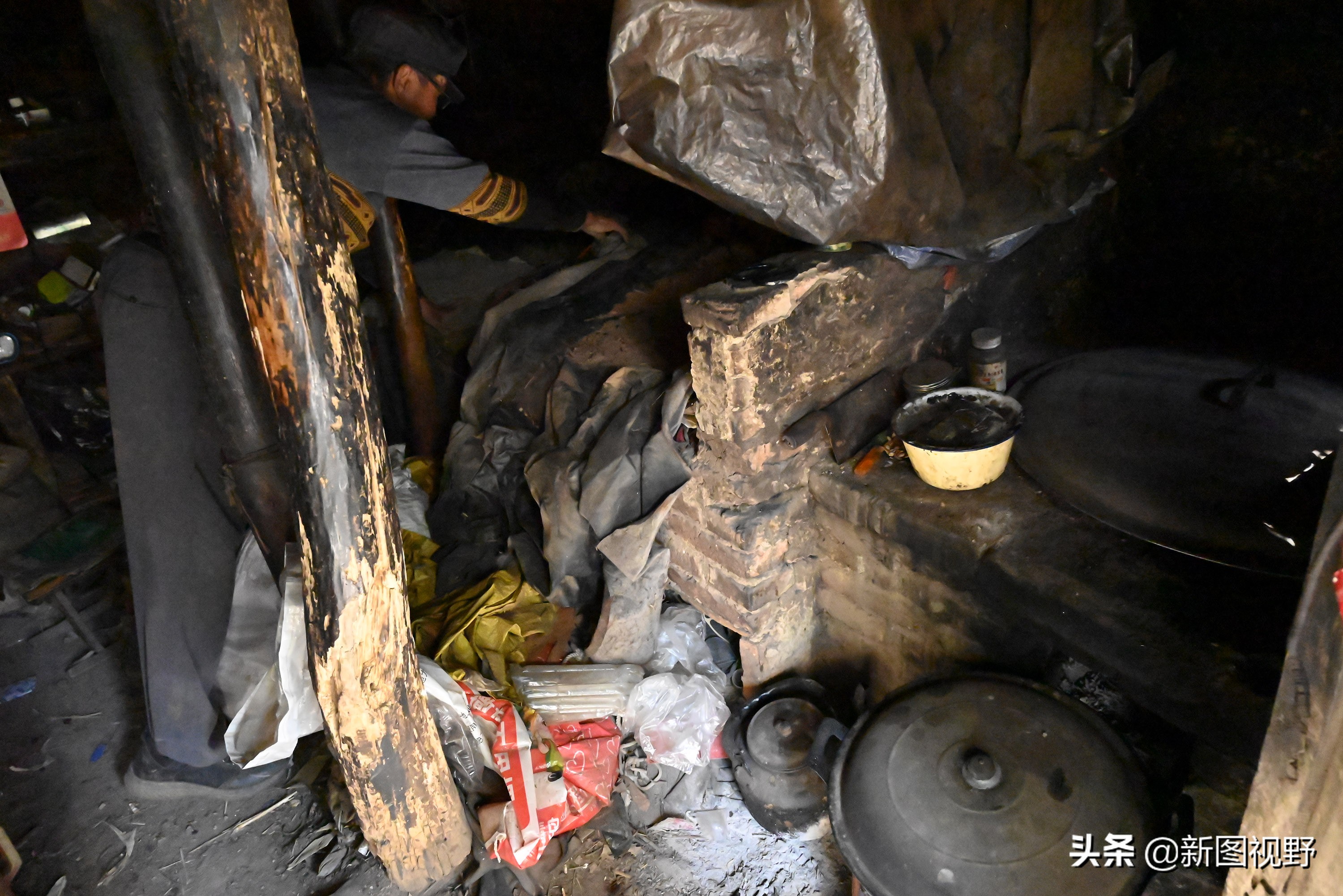 70岁老人养100条流浪狗,80岁老人独居深山养了两只鸟作伴