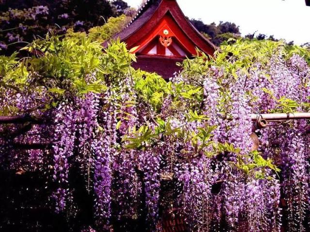 老北京的味儿在哪里,老北京的味道