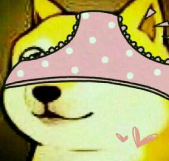 盘点lol里的奇葩名称,lol史上十大事件