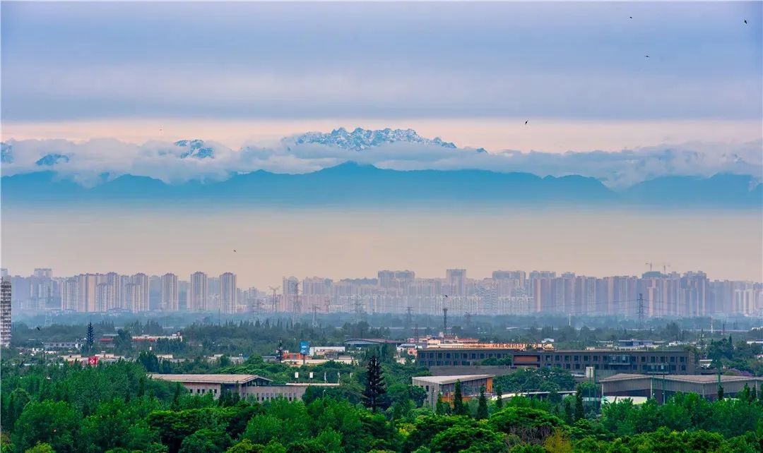 璇诲煄2019,鎴愰兘璇诲煄