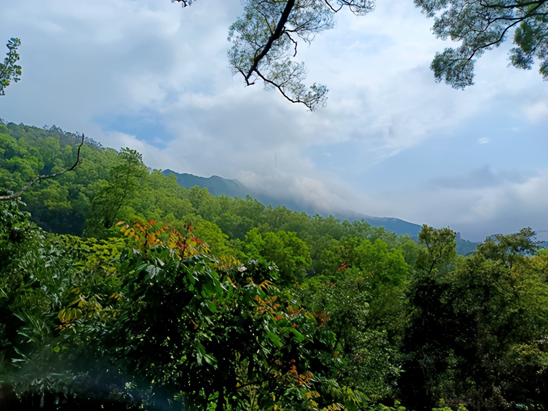 vivos9天玑1100和天玑820哪个好,vivos12天玑1100性能测评