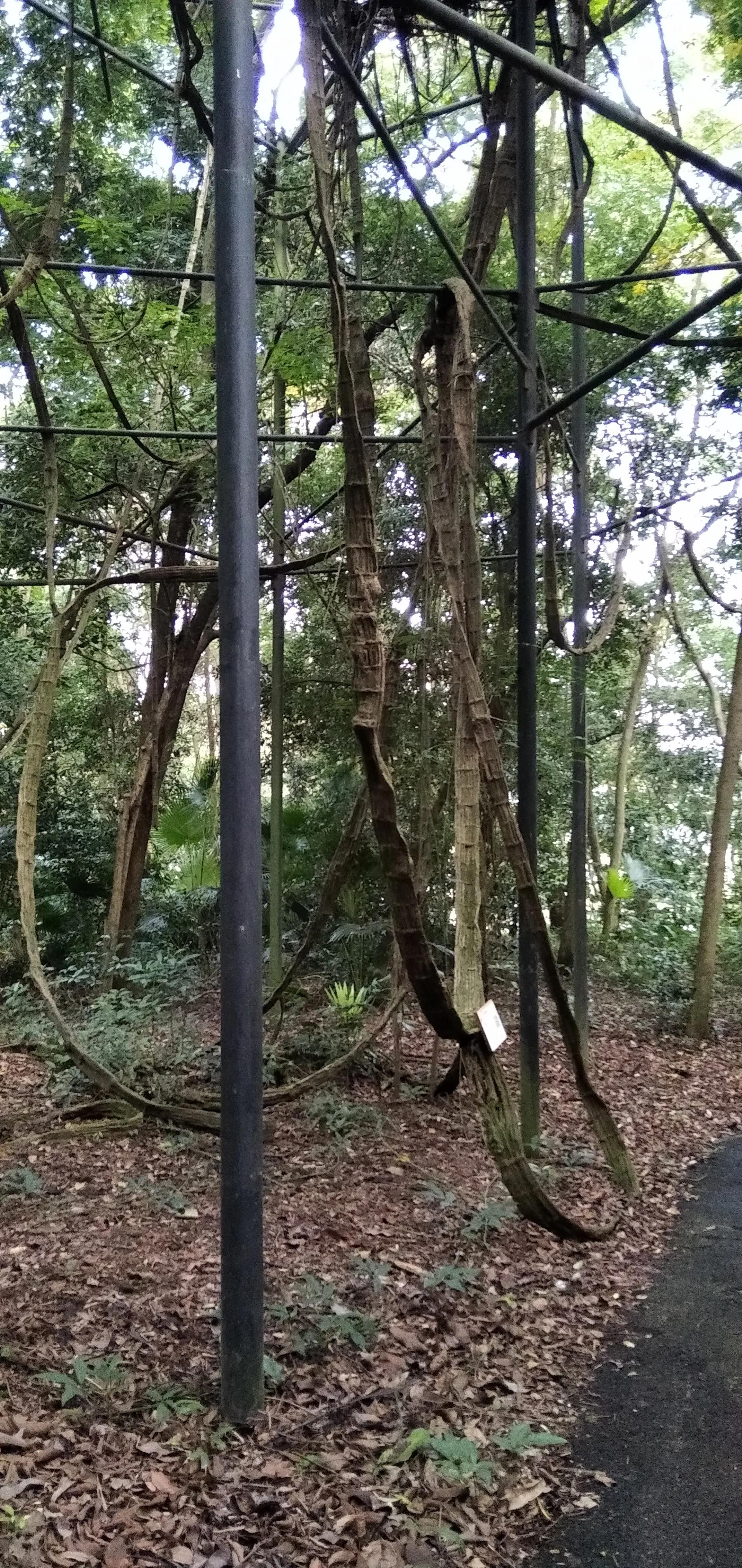 良凤江国家森林公园在哪里啊,良凤江国家森林公园