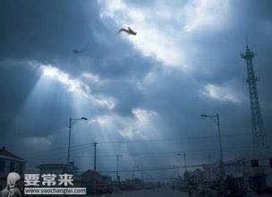 龙真的存在吗真实版,龙真的存在吗诡异事件