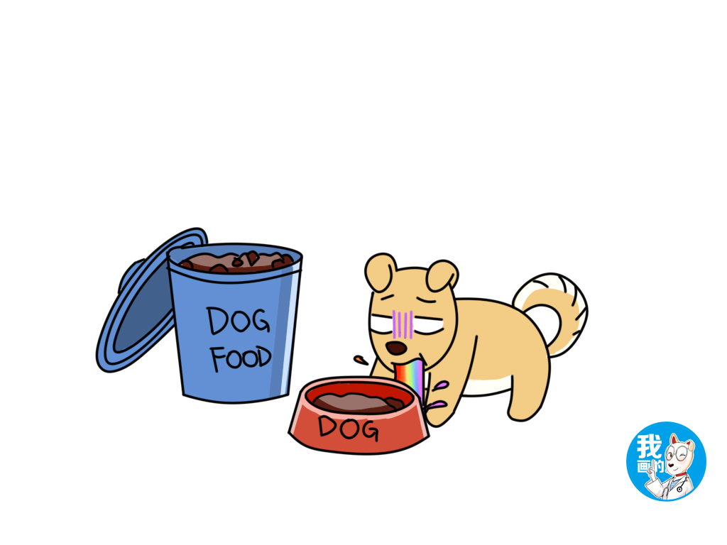 狗狗呕吐还站不稳是什么原因,狗狗呕吐怎么办教你看呕吐物判断